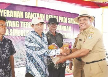 Sawah dan Kebun Kebanjiran Mulai Didata