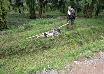 Sudah Empat Korban Tewas Ditemukan