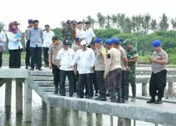 Sekda Tinjau Kesiapan Tanam Mangrove
