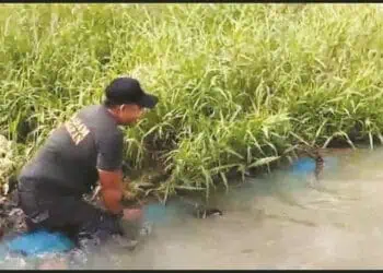 Ada Buaya dan Ular Muncul di Lokasi Banjir Tangerang