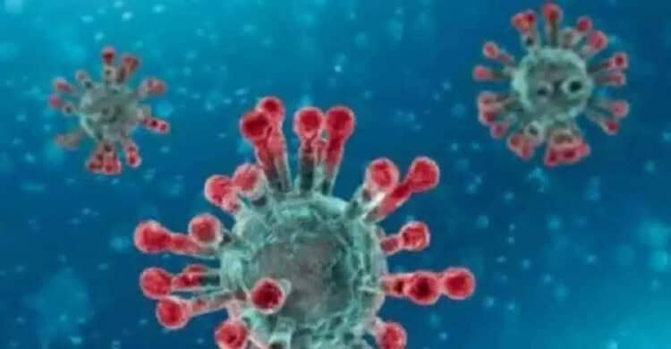 Virus Corona Pukul UMKM