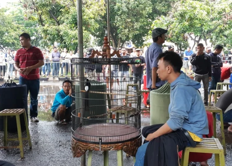 Festival Burung Kicau Piala Walikota Tangerang