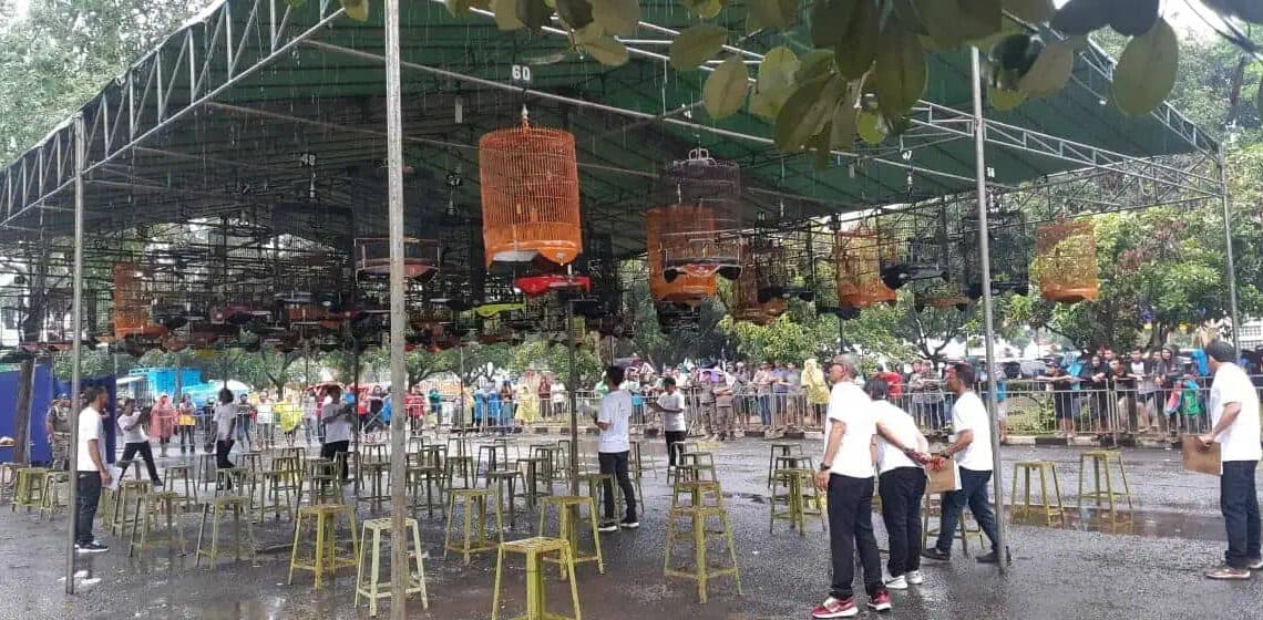 Festival Burung Kicau Piala Walikota Tangerang