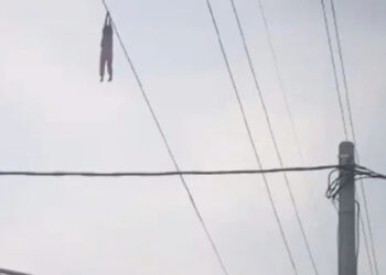 Bocah Bergelantungan di Kabel Sutet Bikin Heboh