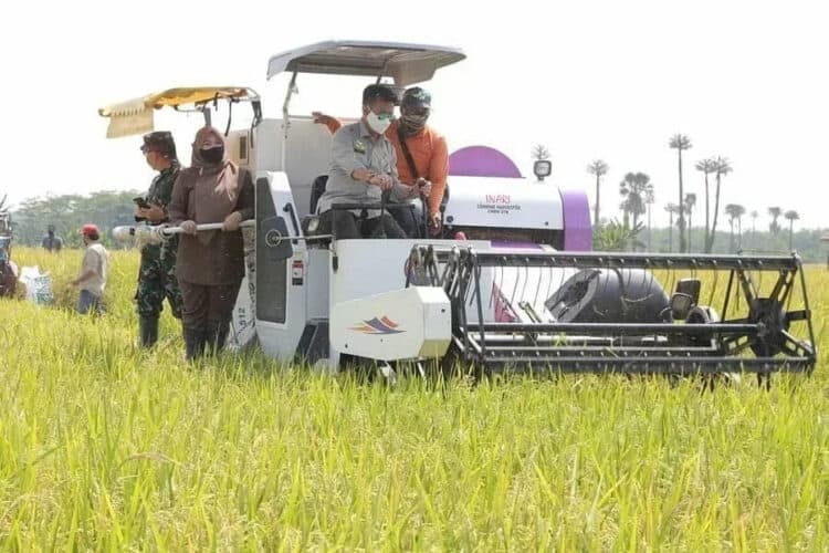 PANEN PADI: Mentan RI Syahrul Yasin Limpo bersama Bupati Kabupaten Pandeglang, Irna Narulita sedang memanen padi menggunakan mesin pemanen padi di Desa Tanjung Jaya, Kecamatan Panimbang, Kamis (23/4). (NIPAL/SATELIT NEWS)