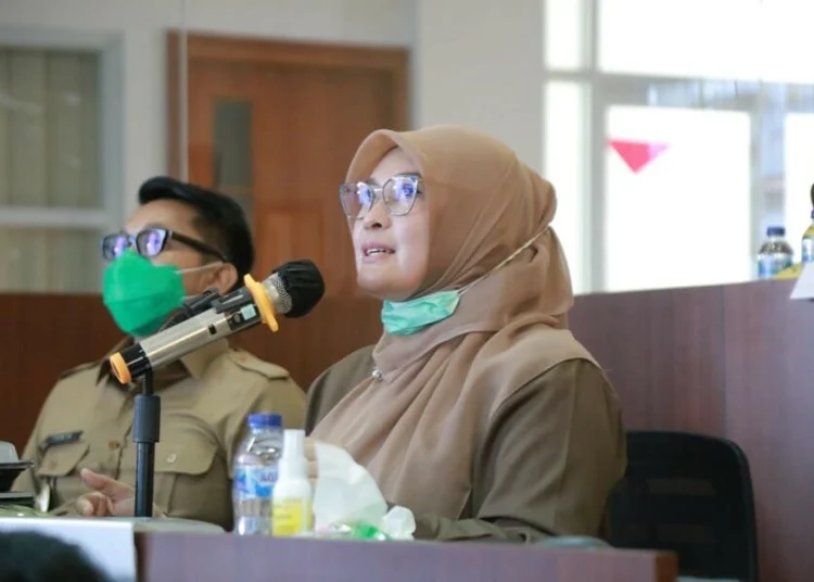 Halal Bihalal dengan OPD, Bupati Irna Gunakan Video Conference