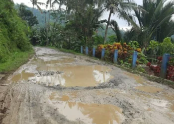 Harap Sabar, Anggaran Pembangunan Jalan Rusak di Sobang Bakal Diusulkan Lagi
