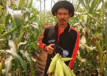Pemkab Tangerang Klaim Ketersediaan Pangan Aman Hingga Oktober 2020