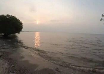 Tingkatkan Perekonomian, Wisata Pulau Cangkir Dikembangkan