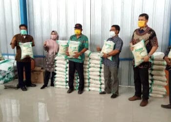 MENINJAU: Bupati Serang Ratu Tatu Chasanah bersama Dinas Pertanian Kabupaten Serang saat meninjau beras jaseng di salah satu penggilingan padi di Kabupaten Serang, belum lama ini. (ISTIMEWA)