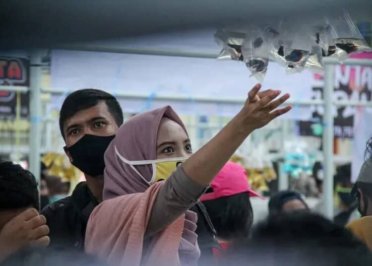 IKAN CUPANG (8)