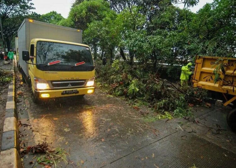 POHON TUMBANG (4)