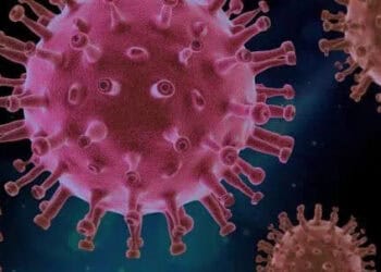 Pasien Covid Meninggal Dunia Dapat Santunan