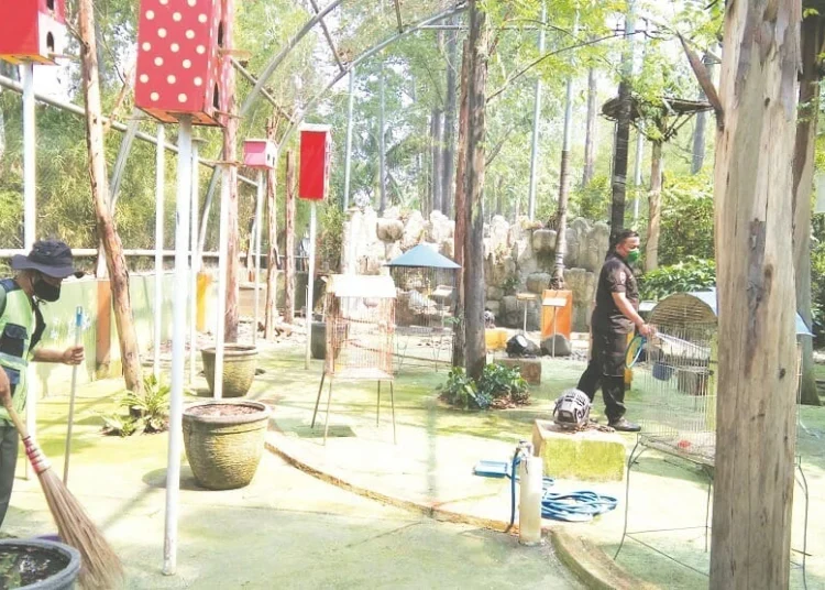 BERSIHKAN KANDANG: Petugas membersihkan kandang Taman Perak atau Bird Park Kota Tangerang. (DINA LOREN/SATELIT NEWS)