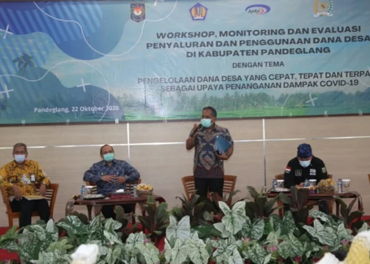 BPKP Banten: Pengelola Dana Desa Harus Dapat Menganalisa Resiko