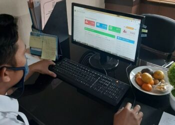 SIM ASN Dilirik Daerah Lain di Indonesia