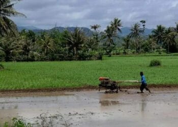 ‎Distan Kabupaten Serang Jajaki Kerjasama Kredit Alsintan