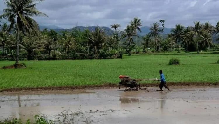 ‎Distan Kabupaten Serang Jajaki Kerjasama Kredit Alsintan