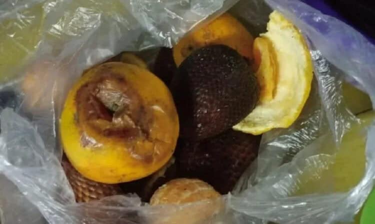 KPM Keluhkan Banyaknya Buah Busuk BPNT