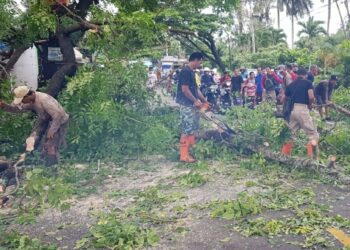 Akses Jalan Tertutup Akibat Pohon Tumbang Disebabkan Cuaca Ekstrim