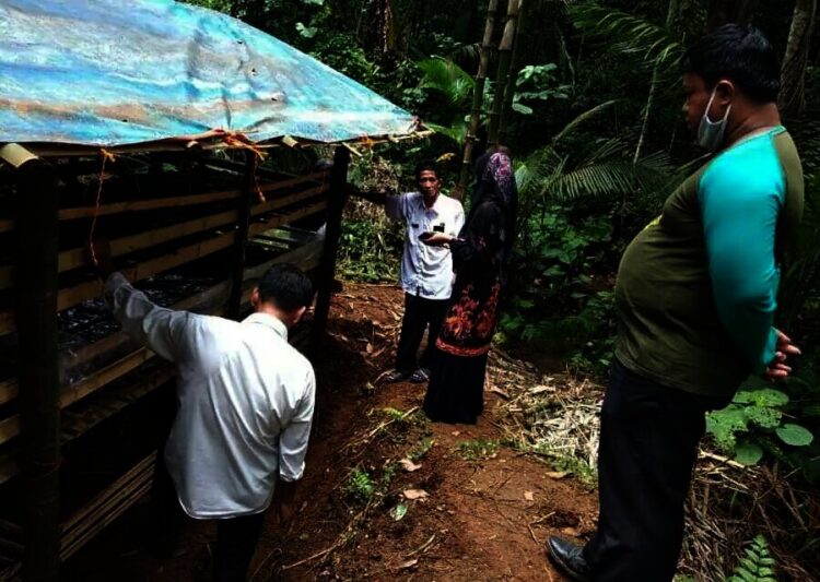 Dinilai Pontensi Besar, Warga Pandeglang Budidayakan Maggot