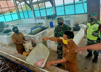 Selamatkan Pangan, TNI Gandeng Dinas Perikanan Pandeglang