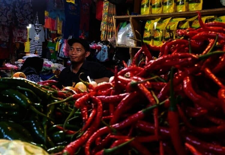 Dampak Banjir, Harga Cabai Naik per Kg Rp100 Ribu