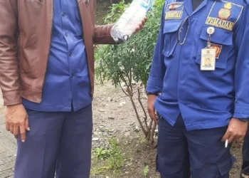 Tiga Anak Ular Cobra Ditangkap di Kabupaten Tangerang