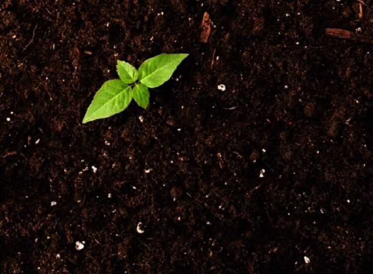 1,3 Juta Bidang Lahan Belum Terpetakan, Berharap PTSL Transparan