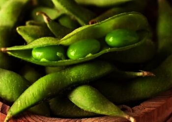 2 Varian Jagung di Kembangkan di Banten, Jenis Kacang dan Edamame