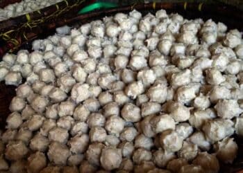 Bakso Ikan Malingping, Rasanya Lezat di Lidah