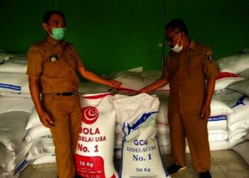 Kacang Kedelai Tembus Rp10.000 per Kilogram