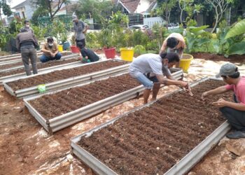 Kampung Mantul Lanjutkan Program Pertanian Tahap 2