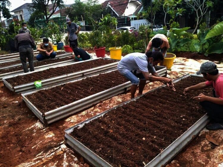 Kampung Mantul Lanjutkan Program Pertanian Tahap 2