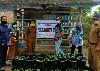 Budidaya Cupang Dinilai Mampu Mangangkat Perekonomian Warga