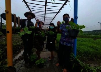 Ubah Lingkungan Kumuh Jadi Layak Dikunjungi Dengan Pertanian