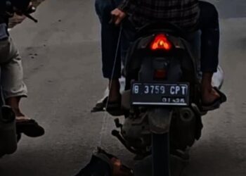 Penyiksaan Anjing Dilaporkan ke Polisi, Pelaku Terancam 3 Bulan Penjara