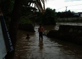Tanggul Jebol, Desa Terendam Banjir, Ratusan Ribu Bibit Ikan Lele Hanyut