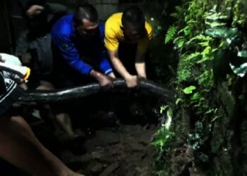 Ular Sanca 5 Meter Ditemukan dekat Rumah Warga