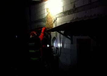 Empat Sarang Tawon Diberangus Petugas Damkar Kota Tangsel