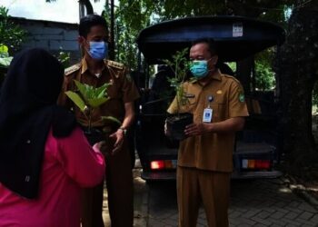 Masyarakat di Kota Tangerang Kembali Diberi Bibit Tanaman