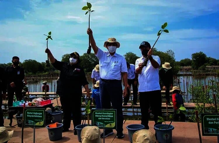 Empat Menteri Tanam Mangrove di Teluknaga Kabupaten Tangerang