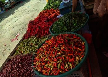 Harga Cabai di Kabupaten Tangerang Naik, Rp130 Ribu PerKg