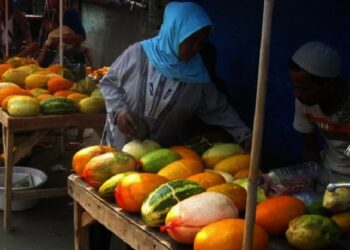 Petani dan Pedagang Timun Suri di Kabupaten Pandeglang Meraup Untung