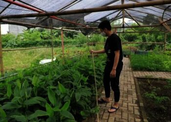Kampung Saungkuriang jadi Paru-Paru Cipondoh