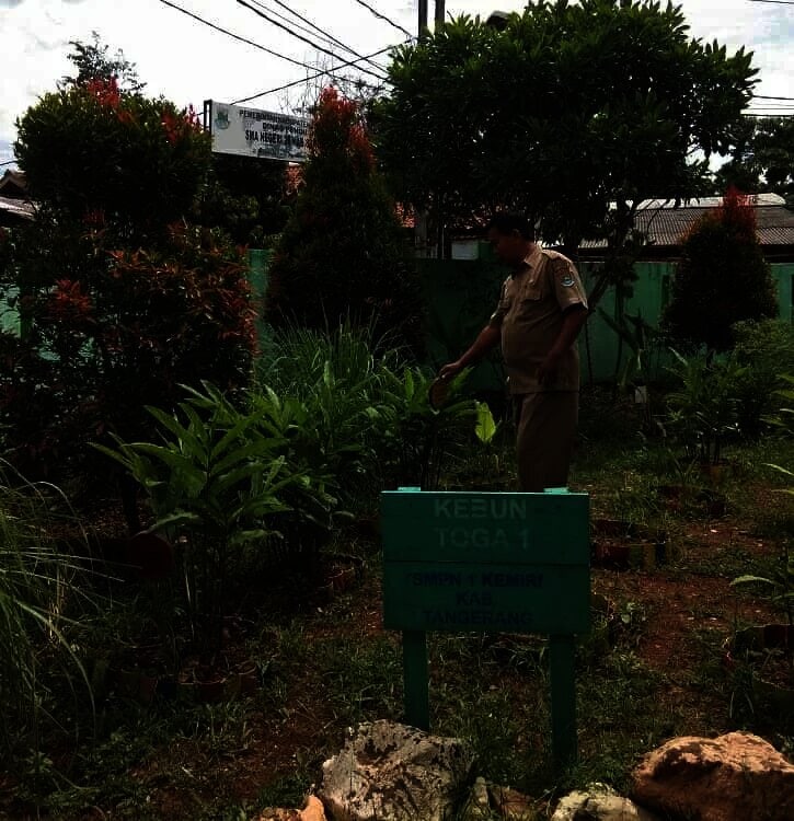 Butuh Kerja Keras dan Kekompakan Warga Sekolah, Pisang Ambon Bawa SMPN 1 Kemiri Raih Adiwiyata