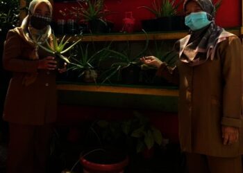 Sempat Vakum Selama Enam Tahun, SD “Gudang Balok” Kejar Adiwiyata Mandiri