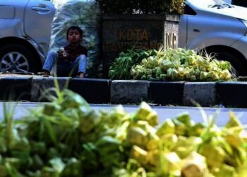 Pedagang Kulit Ketupat Musiman Jelang Qunutan Ramadan