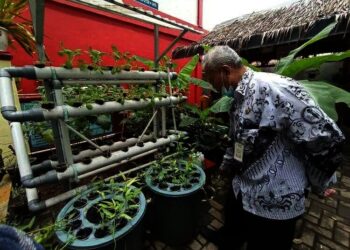 SDN Pinang 3 Mengejar Adiwiyata Mandiri, Berhasil Raih Piagam Adiwiyata Tingkat Nasional