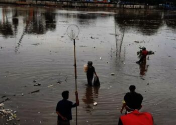 Warga Ramai-ramai Tangkap Ikan Mabuk di Neglasari Tangerang